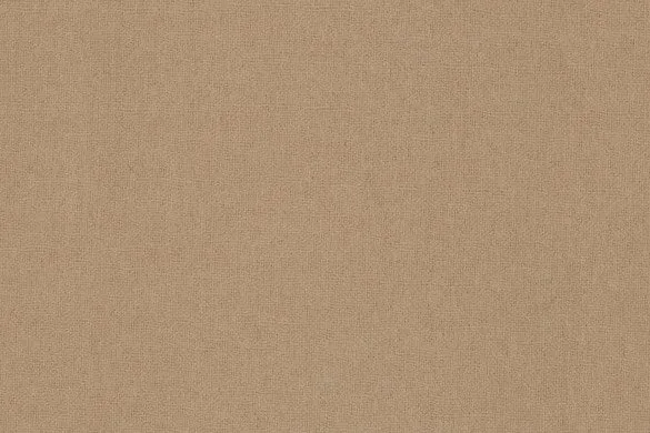 Beige Plain 100% Cashmere (Ref-795371)