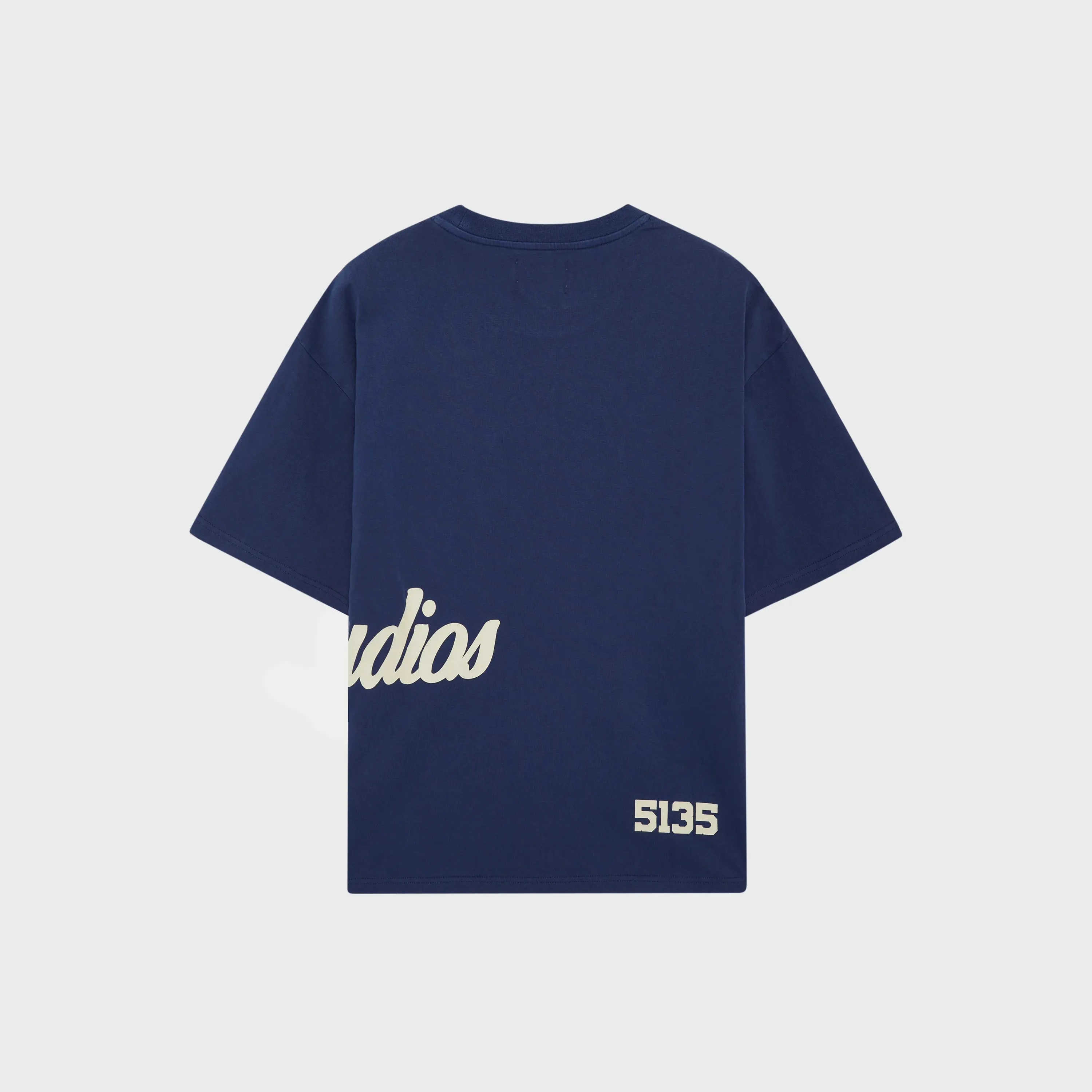 Side Hug Grosbeak Oversized Tee