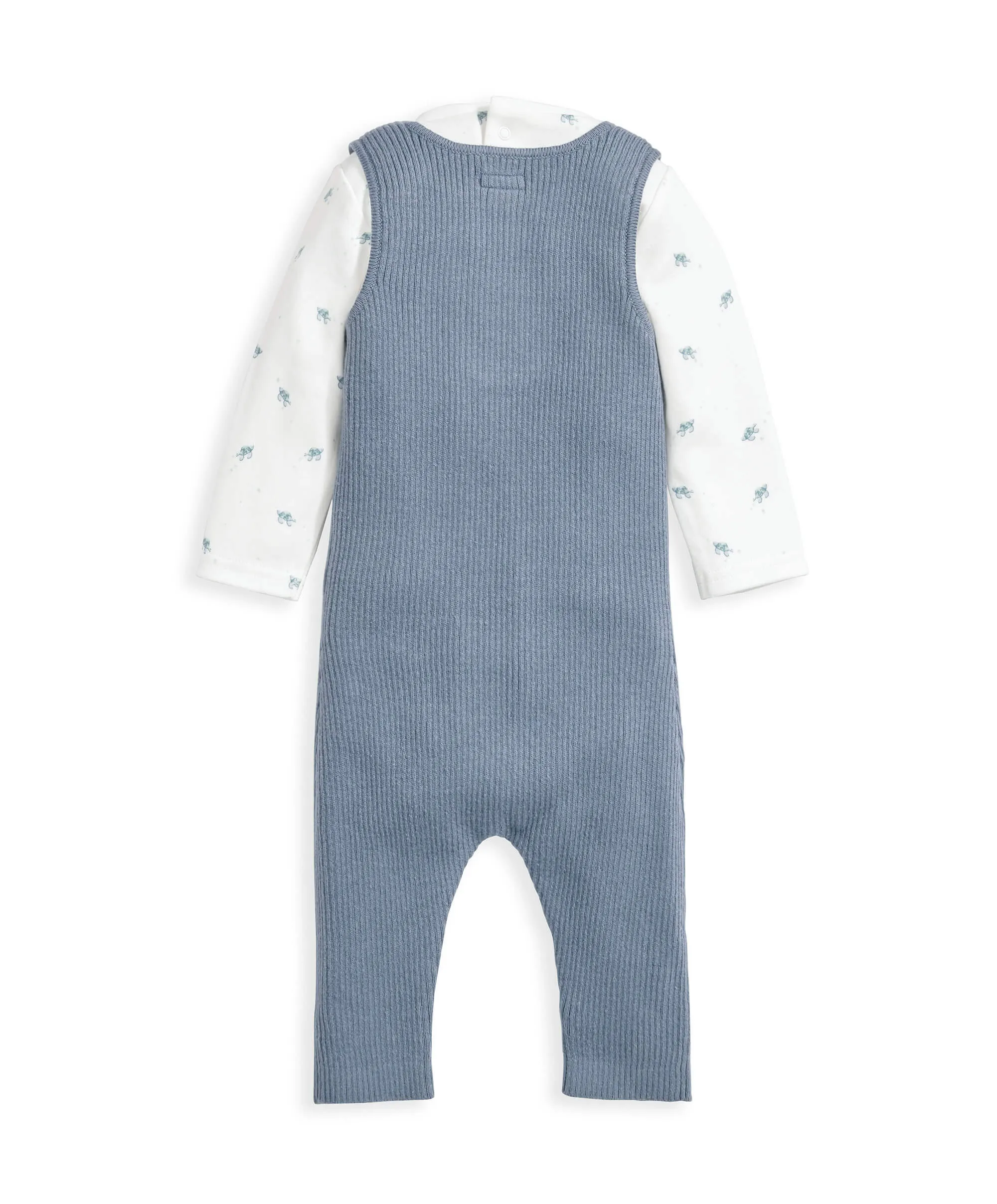 Turtle Bodysuit & Knitted Dungarees - Blue